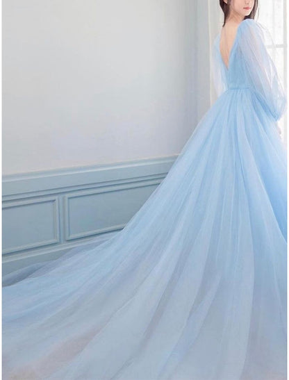 A-Line Prom Dresses Luxurious Dress Engagement Prom Watteau Train Long Sleeve V Neck Tulle V Back with Sleek Pure Color